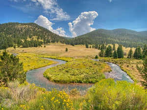 Valle Vidal Winding River