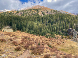 Carson National Forest Kachina Basin